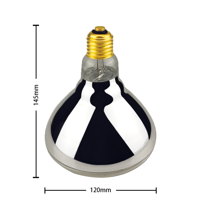 BONGBADA PAR38 100W Technical Specifications and Dimensions Diagram for Industrial Buyers