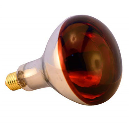 BONGBADA 2 Pack Heat Lamp Infrared Bulbs R40